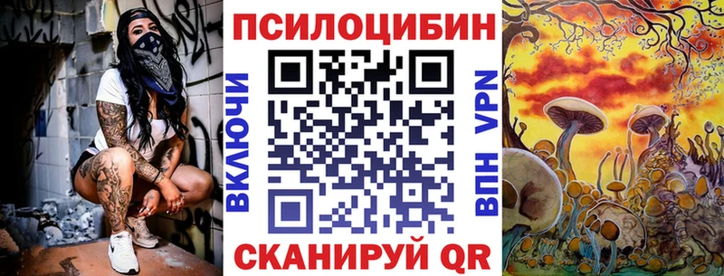 Галлюциногенные грибы Psilocybine cubensis  купить наркотик  Курганинск 